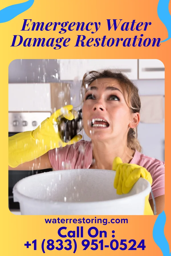 Emergency Water Damage Restoration in Opheim, MT